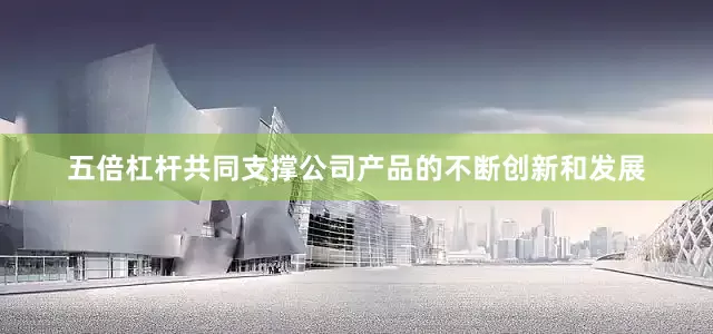 五倍杠杆共同支撑公司产品的不断创新和发展